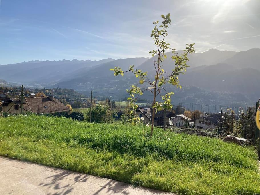 Casa Diaf Appartamento Incantevole Carano Ville Di Fiemme Экстерьер фото